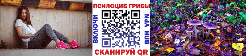 blacksprut ссылки Мантурово Псилоцибиновые грибы прущие грибы
